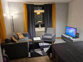 Mysig lägenhet med ett rum och kök 1103 in Boden